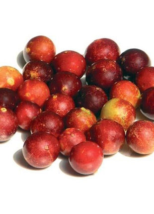 Camu Camu Poeder Raw & Organic