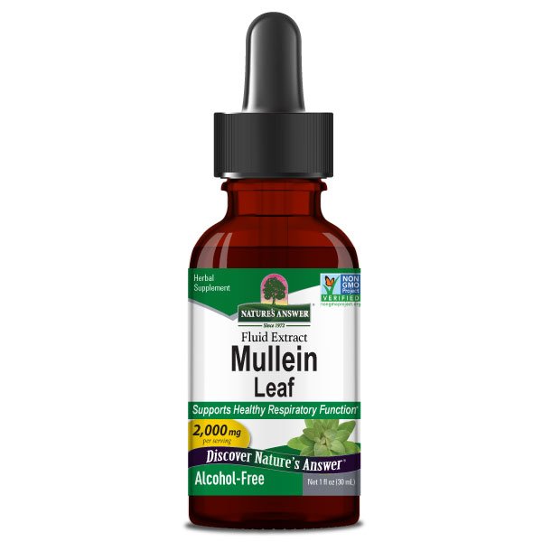Mullein Leaf (Koningskaars) Extract – (30ml) - Nature's Answer - SuperfoodShop